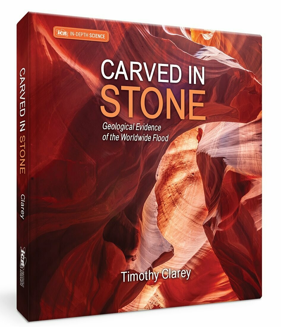 Carved in Stone Carved in Stone