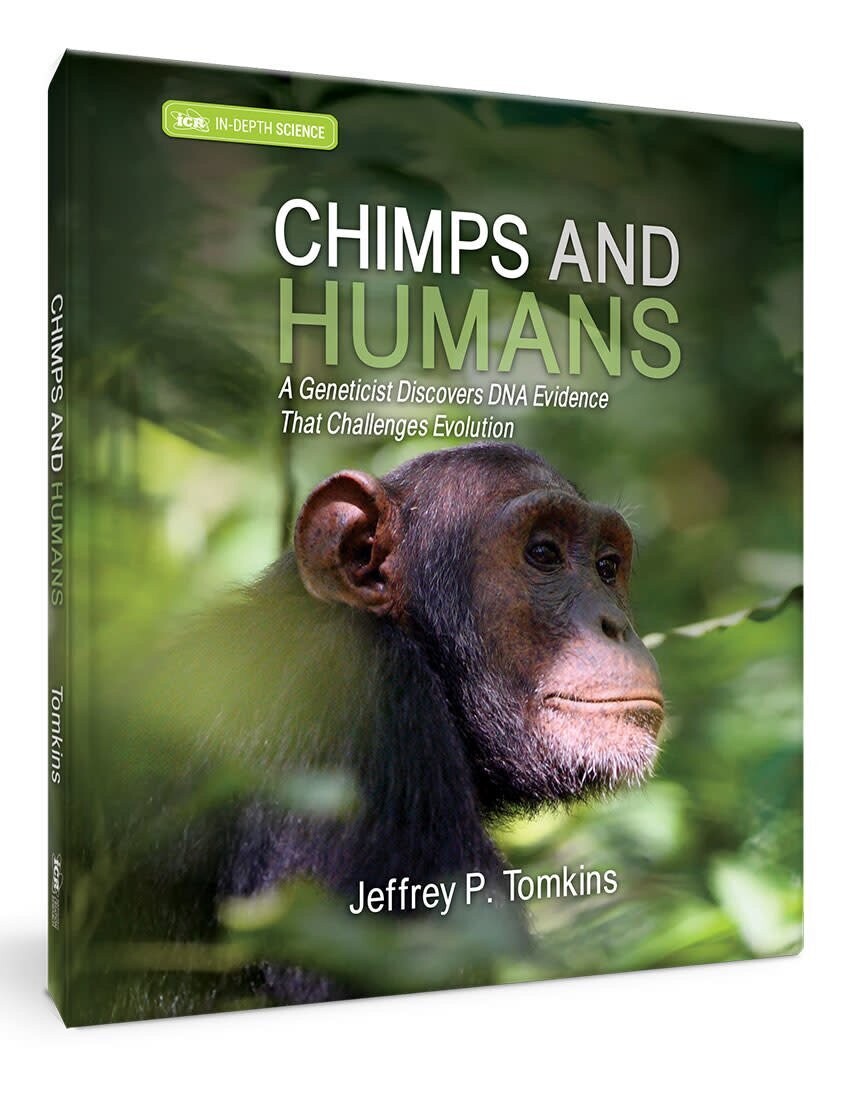 Chimps and Humans Chimps and Humans