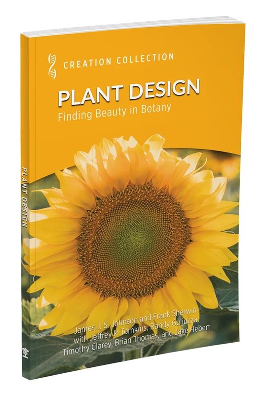 Plant Design: Finding Beauty in Botany