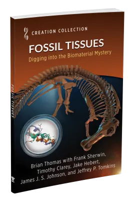 Fossil Tissues: Digging into the Biomaterial Mystery