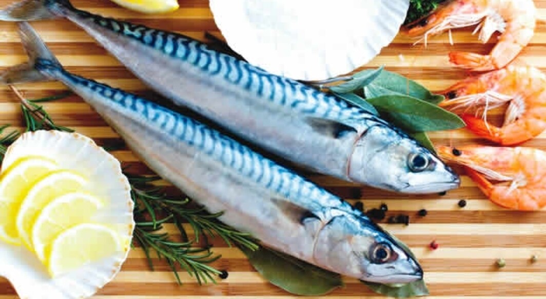 Mackerel (Titus) Fish 4lb