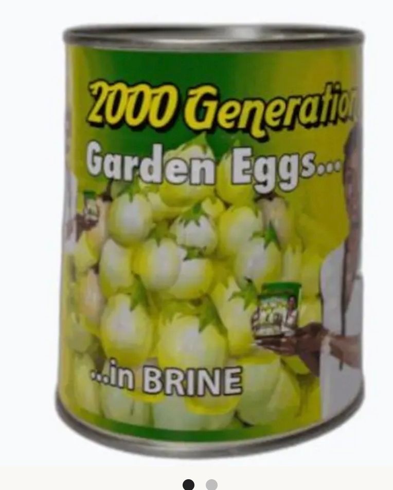 2000 Generation Garden Eggs Plant /Garden Egg 800g