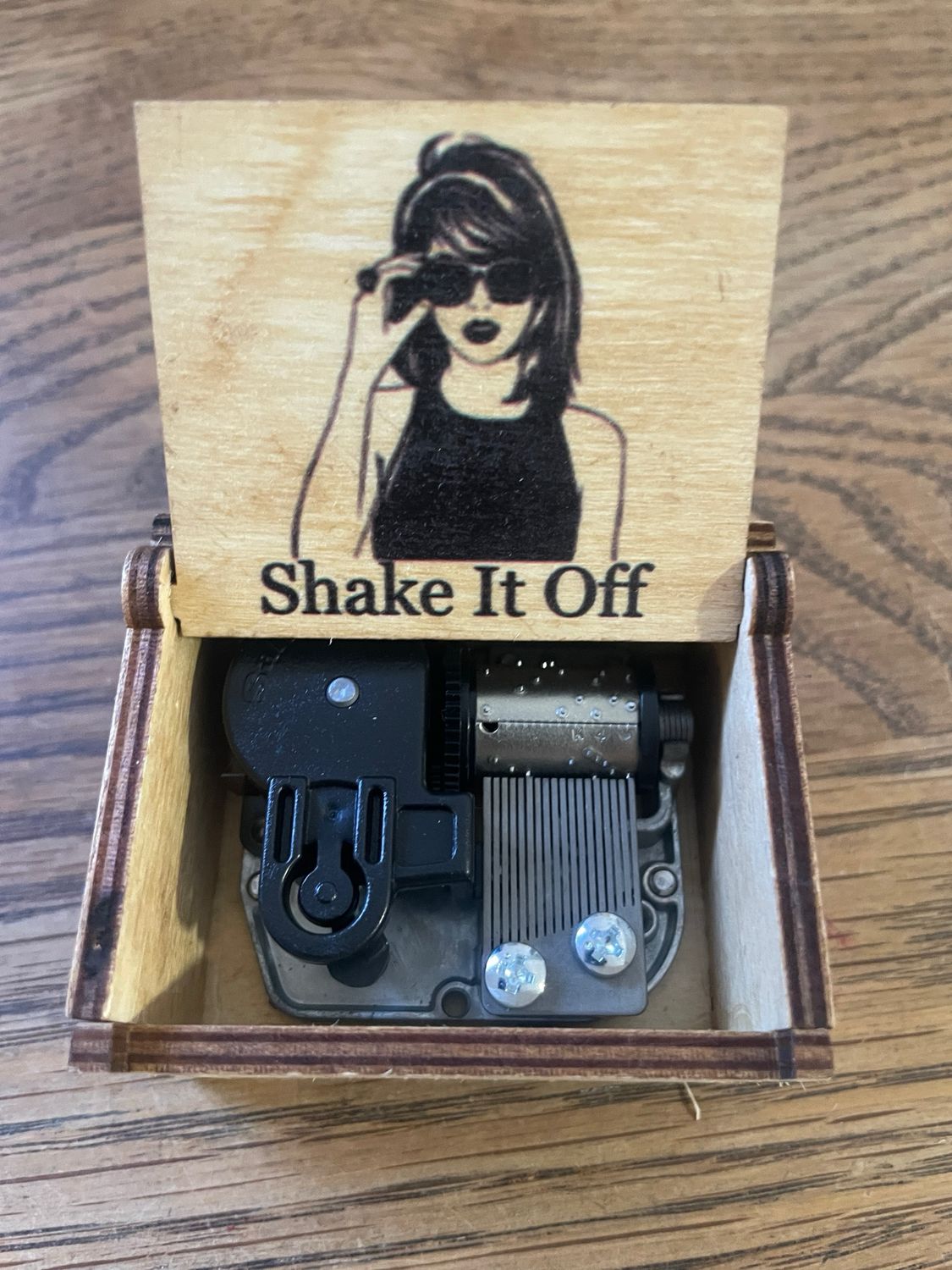 Taylor Swift (Shake It Off) Music Box
