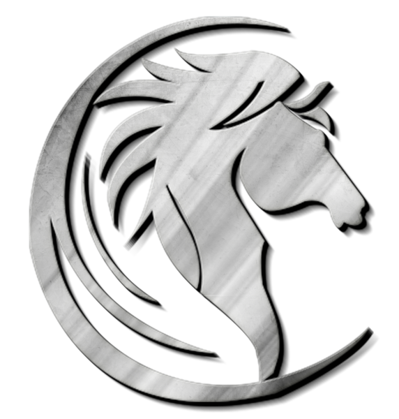Troy Prohorse