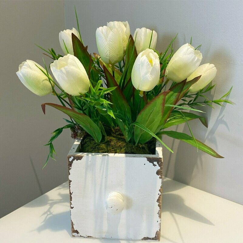 Tulips in a draw