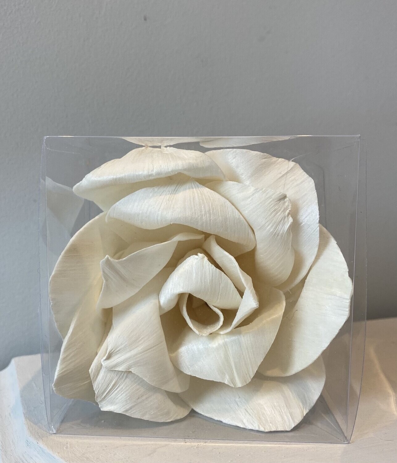Angelica rose single flower