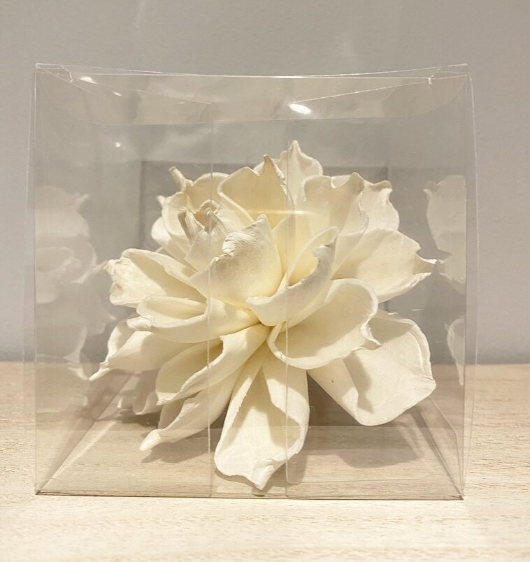 Giannia single  diffuser flower