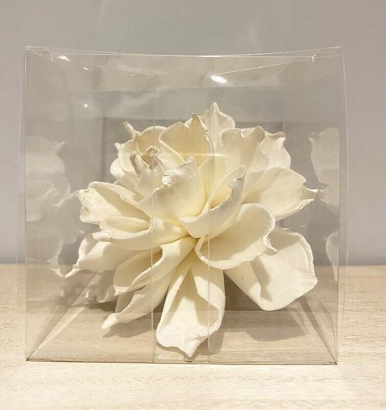 Giannia single  diffuser flower