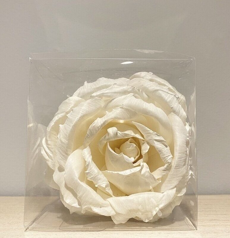 English Rose single diffuser  flower