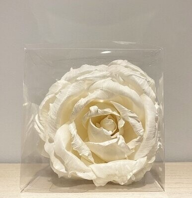 English Rose single diffuser  flower
