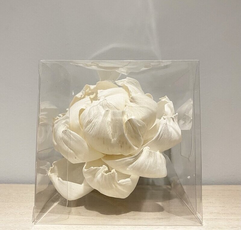 Duchesse Peony single  diffuser 
flower