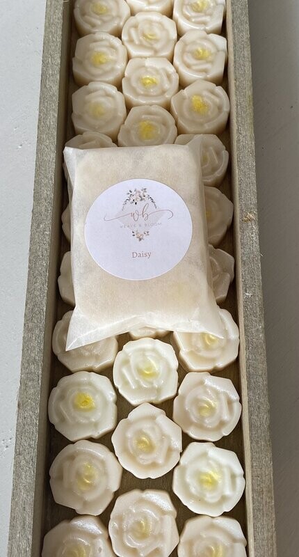 Wax melts 6 pack