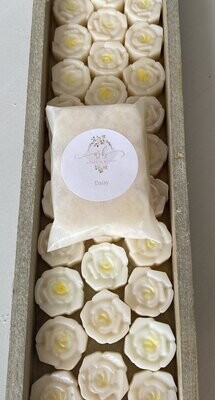 Wax melts 6 pack