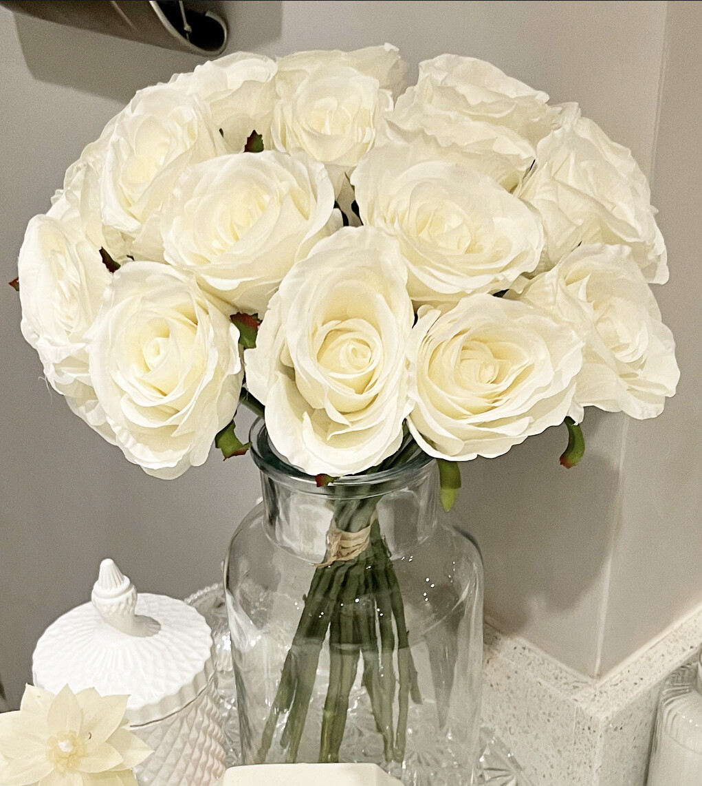 Hayley Ivory Rose