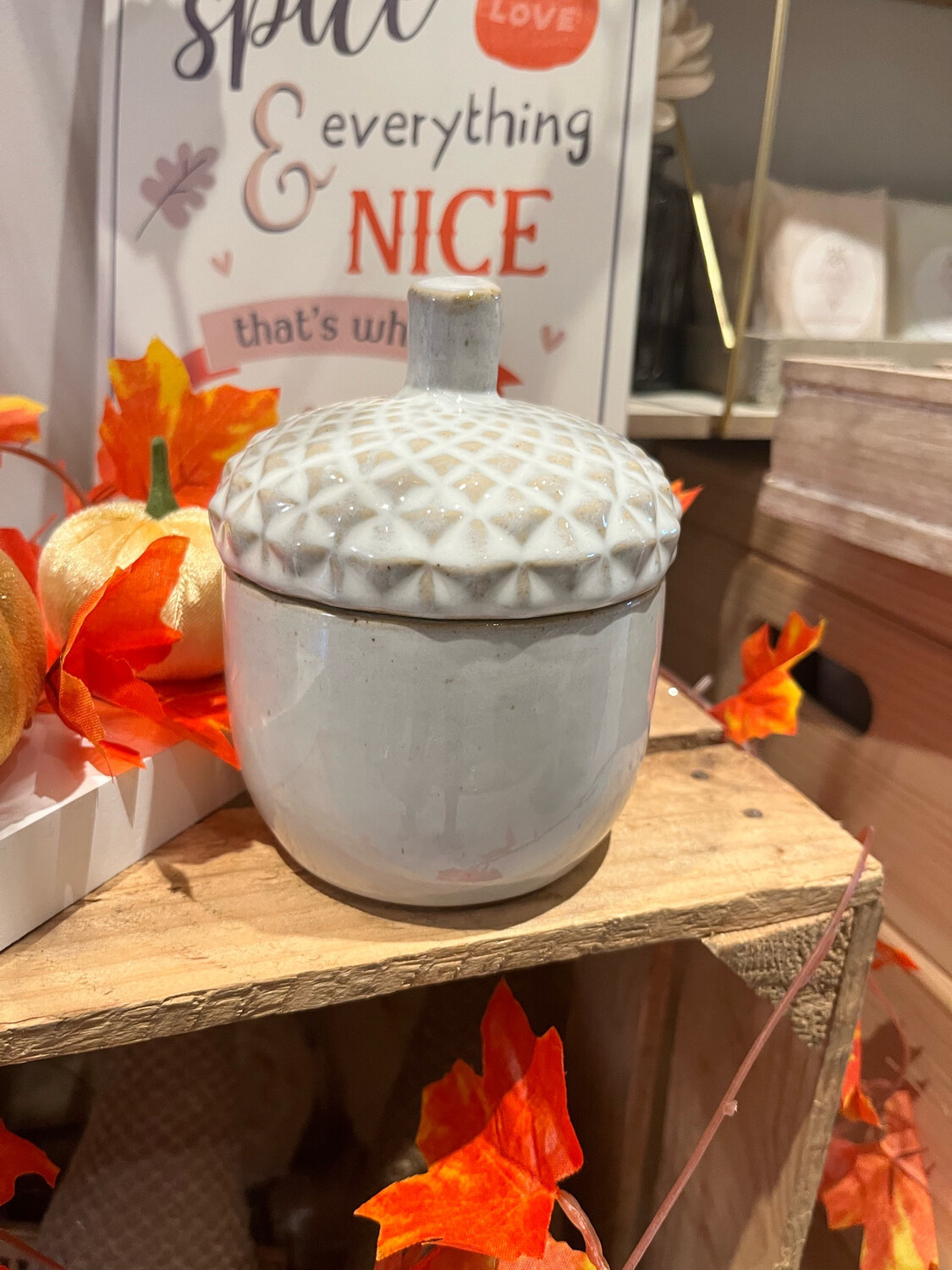 Acorn Pot