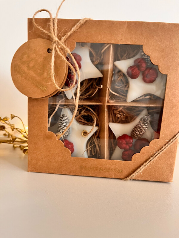 Winter Berries Scented  star Decoration