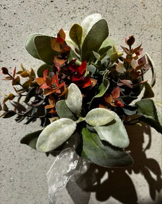 Lambs Ear bunch