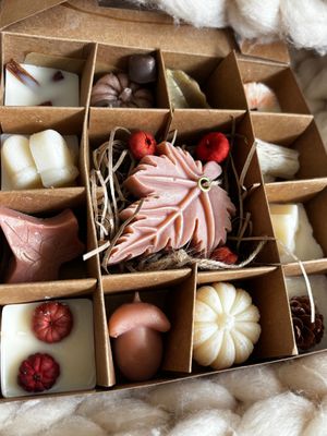wax melt selection boxes