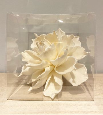 Single  diffuser flowers