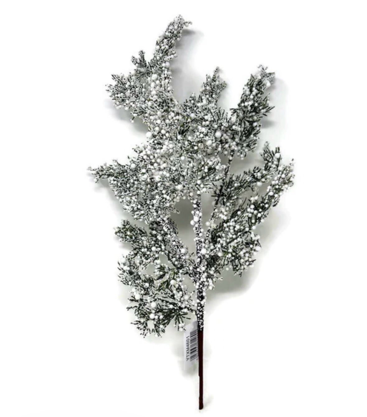 Frosty Stems Frosty Stems