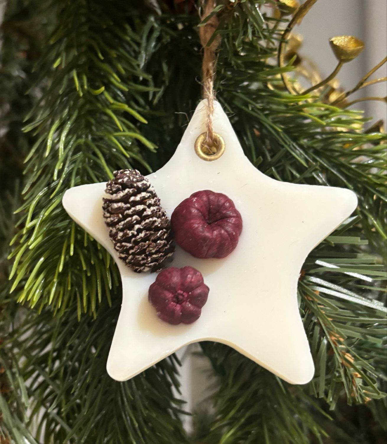 Single Hanging Scented Star Winter Berries Single Hanging Scented Star Winter Berries