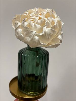 Diffuser bottles & pedistals