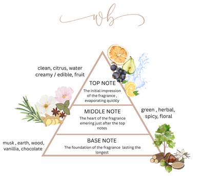 Fragrance notes
