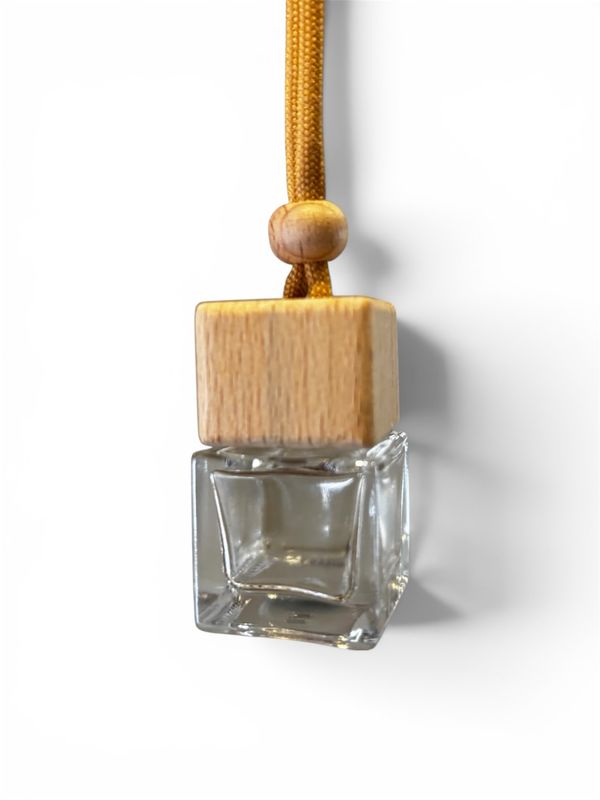 Car diffuser
