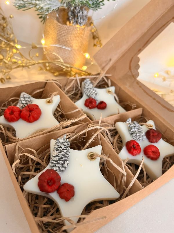 Winter Berries Scented  star Decoration