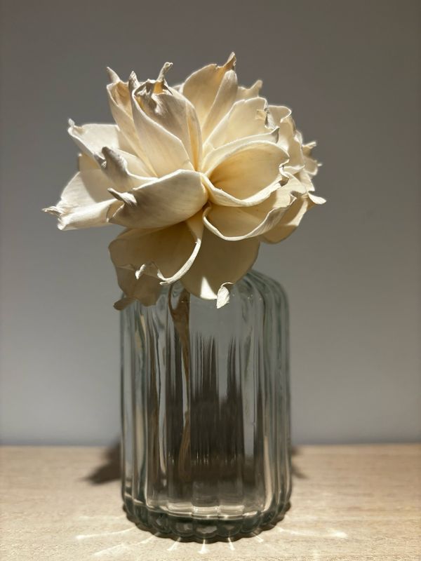 Giannia Flower diffuser Giannia Flower diffuser