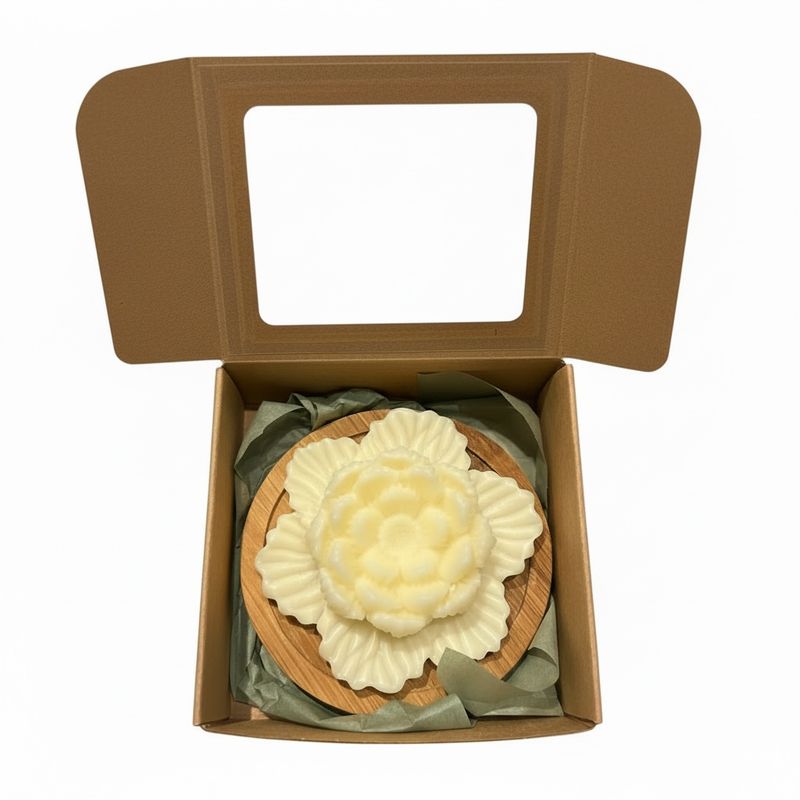 Hibiscus  coaster, cherry blossom