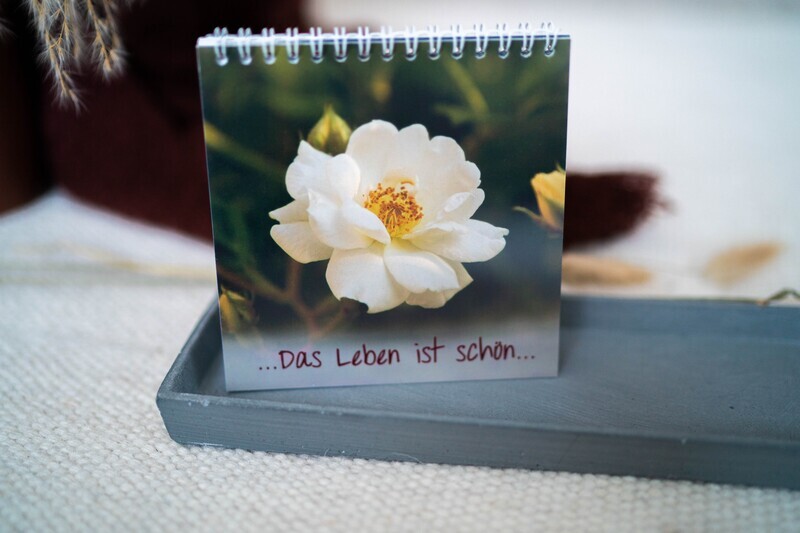Das Leben ist schön...
