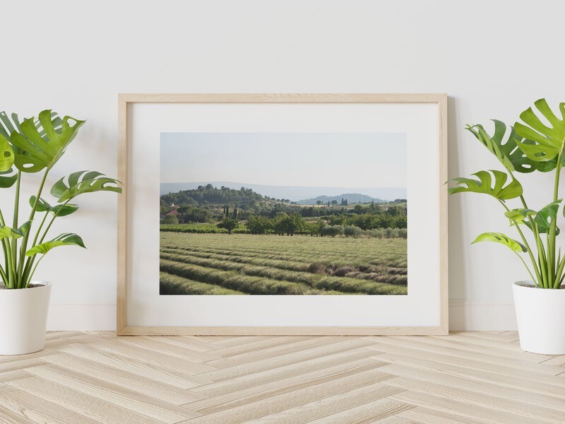 Provence 3