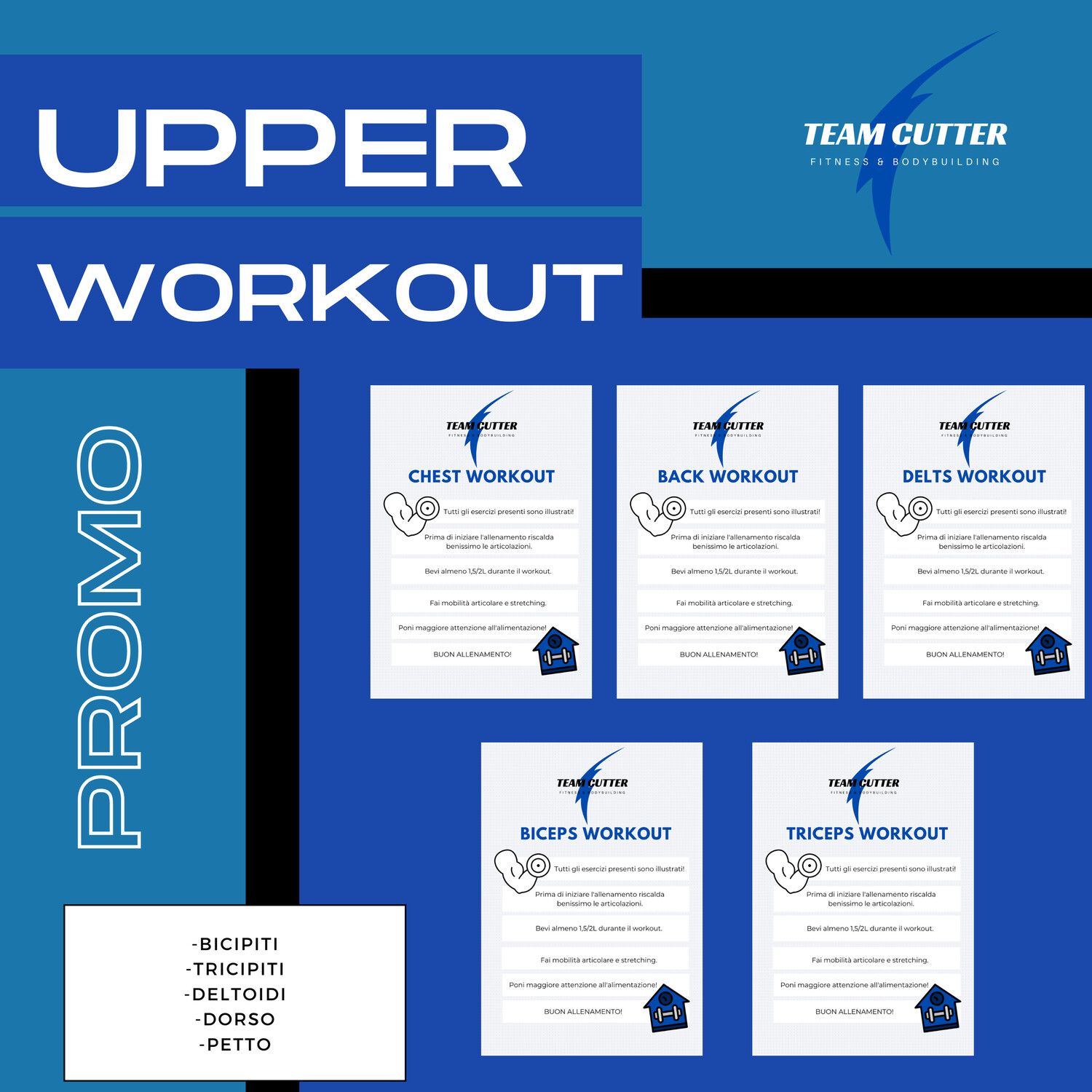 UPPER BODY WORKOUT