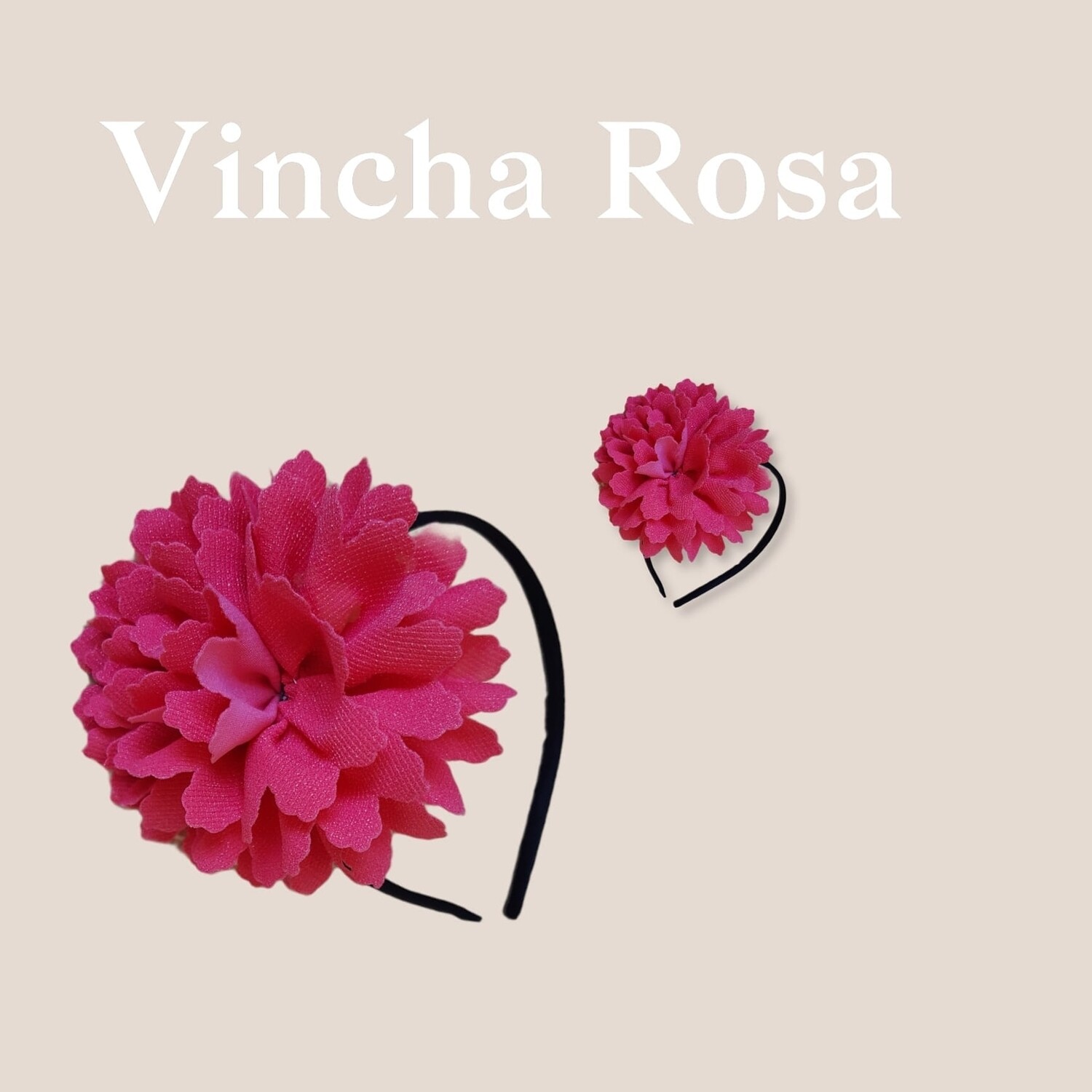 Vinchas
