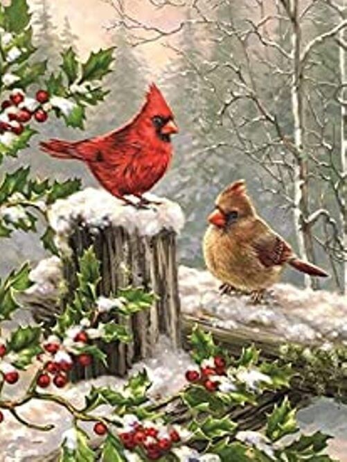 Diamond Painting Vollbild 30x40 mit eckigen Steinen