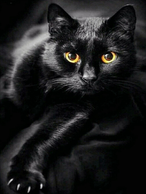 Diamond Painting Vollbild 30x40 mit eckigen Steinen