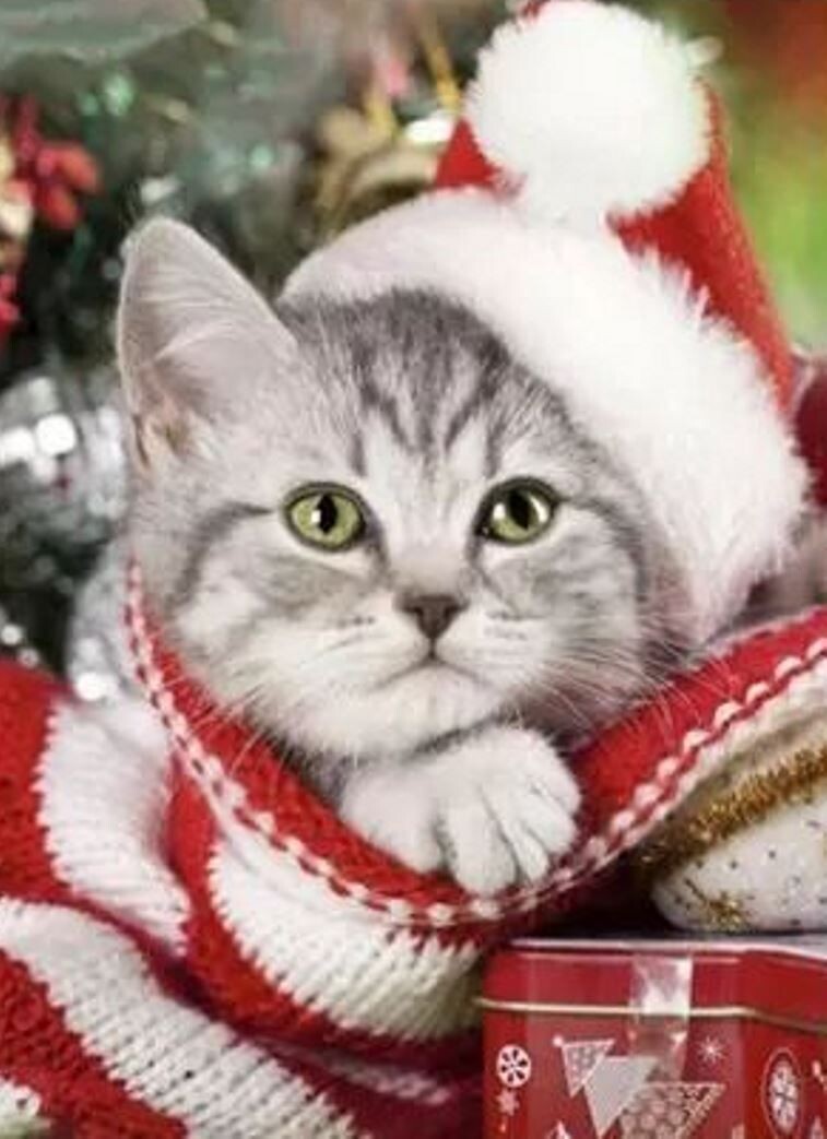 Diamond Painting Vollbild 30x40 mit eckigen Steinen