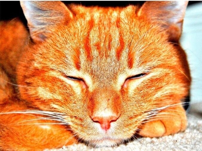 Diamond Painting Vollbild 30x40 mit eckigen Steinen