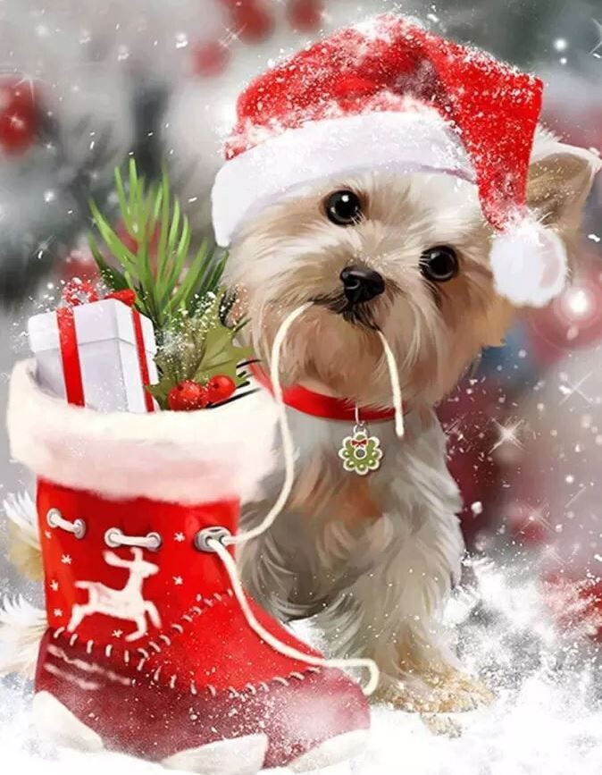 Diamond Painting Vollbild 30x40 mit eckigen Steinen