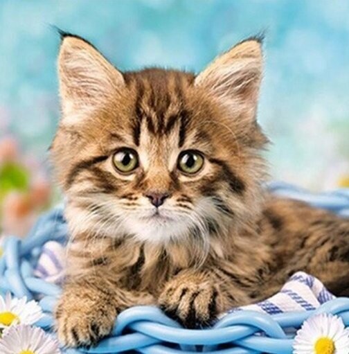 Diamond Painting Vollbild 30x40 mit eckigen Steinen