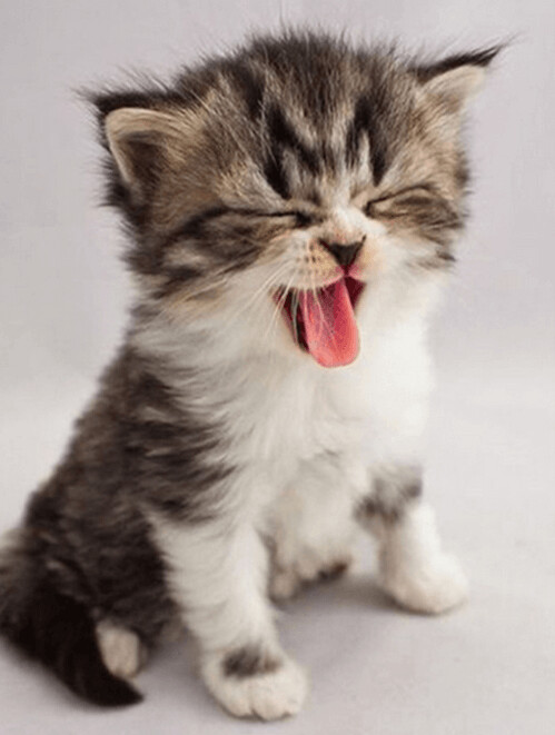 Diamond Painting Vollbild 30x40 mit eckigen Steinen