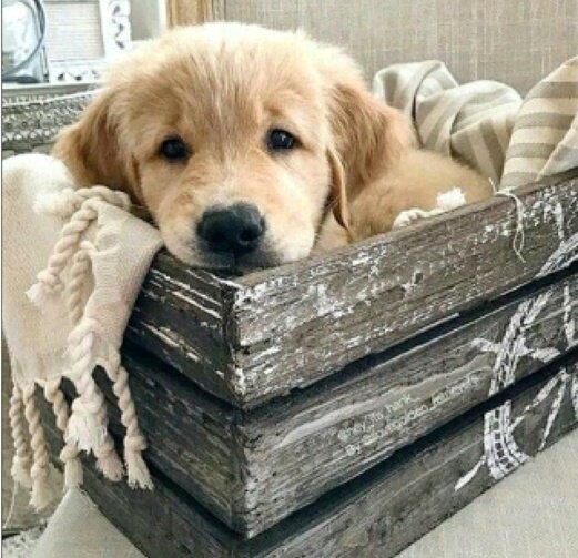 Diamond Painting Vollbild 30x40 mit eckigen Steinen