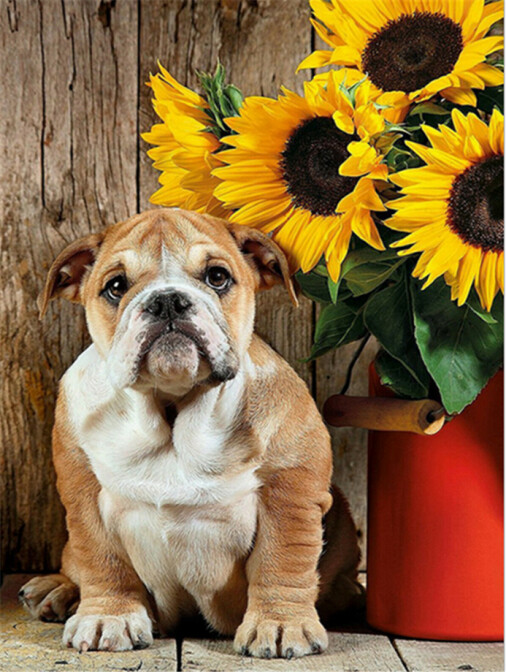 Diamond Painting Vollbild 30x40 mit eckigen Steinen