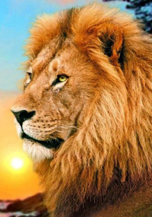 Diamond Painting Vollbild 30x40 mit eckigen Steinen