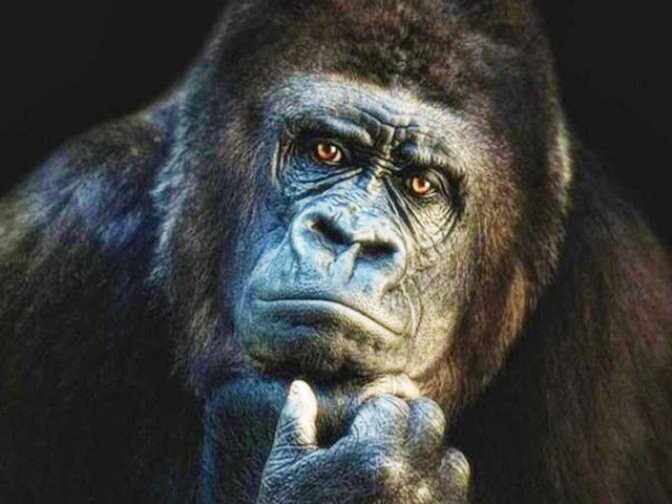 Diamond Painting Vollbild 30x40 mit eckigen Steinen