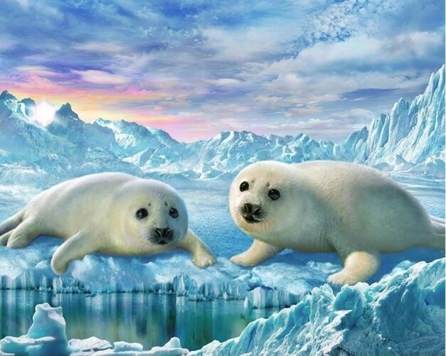 Diamond Painting Vollbild 30x40 mit eckigen Steinen