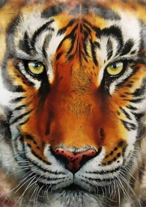 Diamond Painting Vollbild 30x40 mit eckigen Steinen