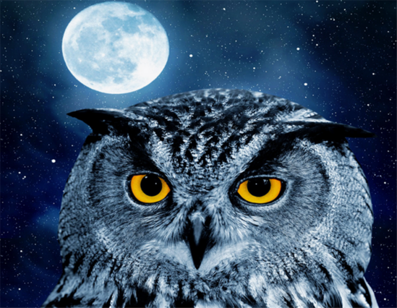 Diamond Painting Vollbild 30x40 mit runden Steinen Diamond Painting Vollbild 30x40 mit runden Steinen