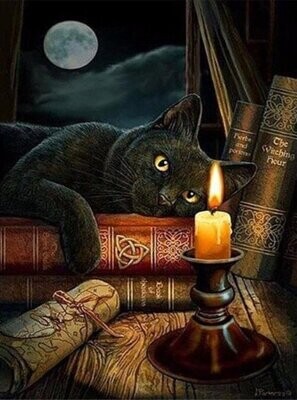 Diamond Painting Vollbild 50x70 mit runden Steinen Diamond Painting Vollbild 50x70 mit runden Steinen